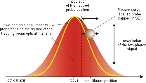Laser surface profile measurement deals