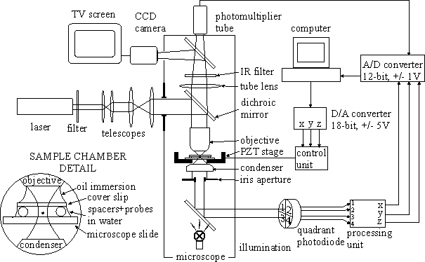 [Experimental setup]