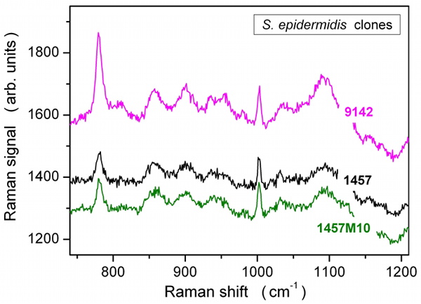 Raman spectra