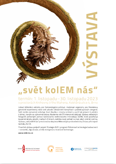 AV21