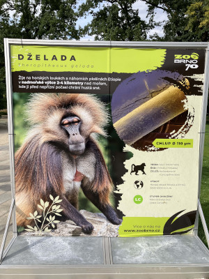 ZOO