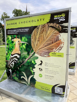 ZOO