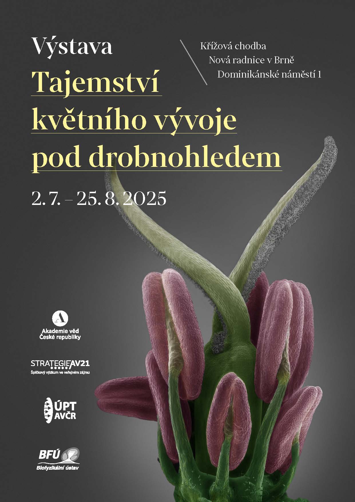 Výstava Tajemství květního vývoje pod drobnohledem
