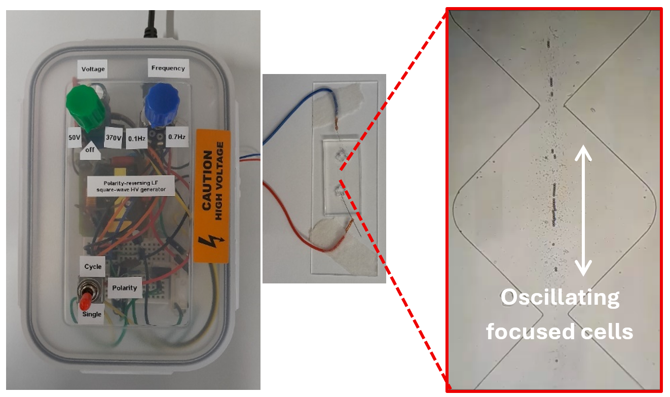 Fig 6