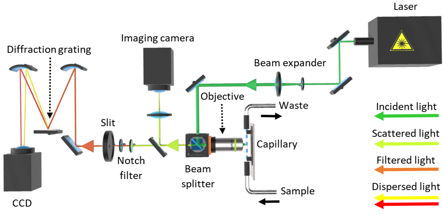 Fig 7