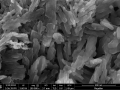Mikrosnímek částic pigmentu