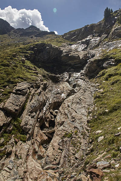 IMG_3972