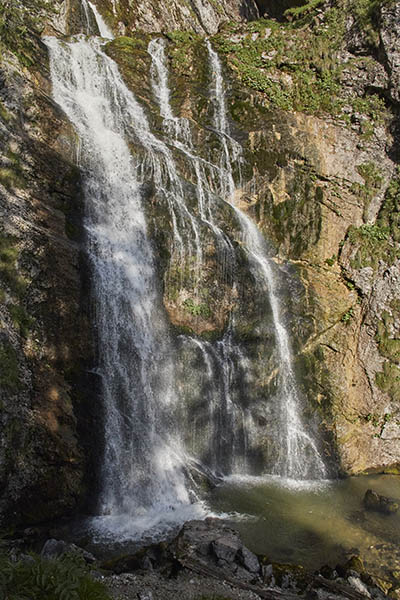 IMG_3725