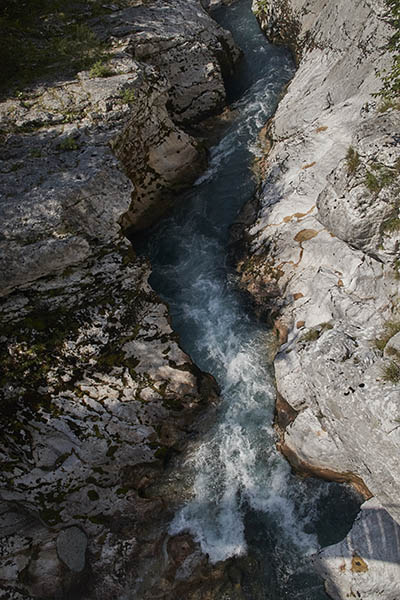IMG_3847