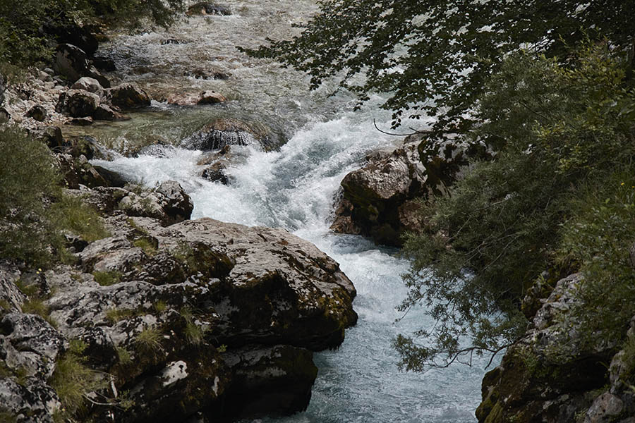 IMG_3857