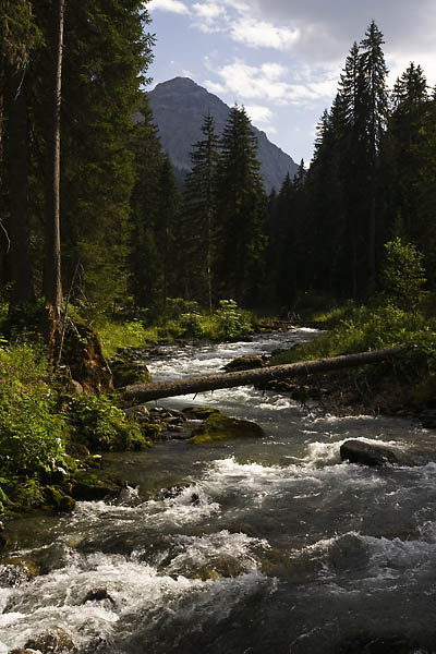 _MG_6272