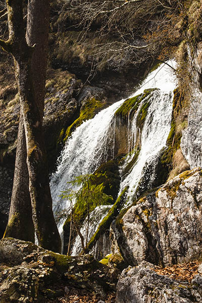 _MG_5951
