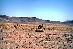 o05.jpg