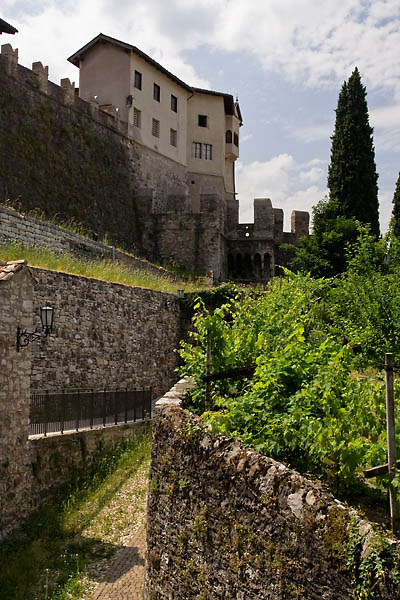 _MG_8642