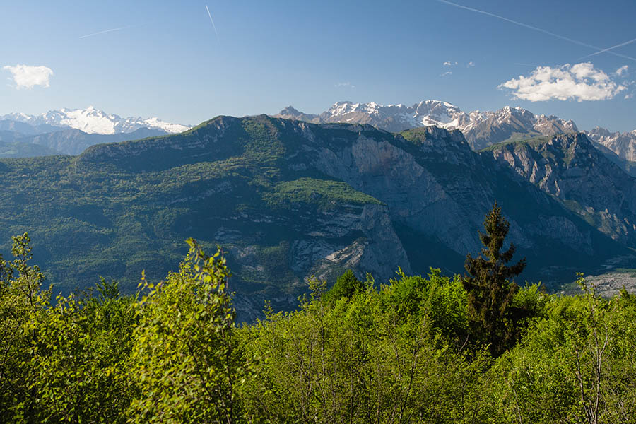 _MG_5535