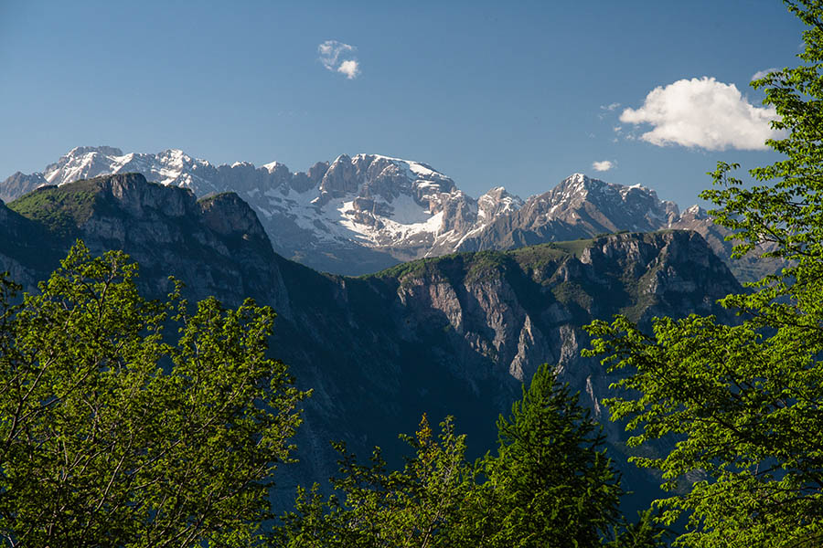 _MG_5536