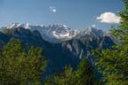 _MG_5536