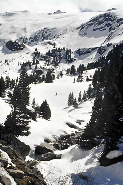 Image0028