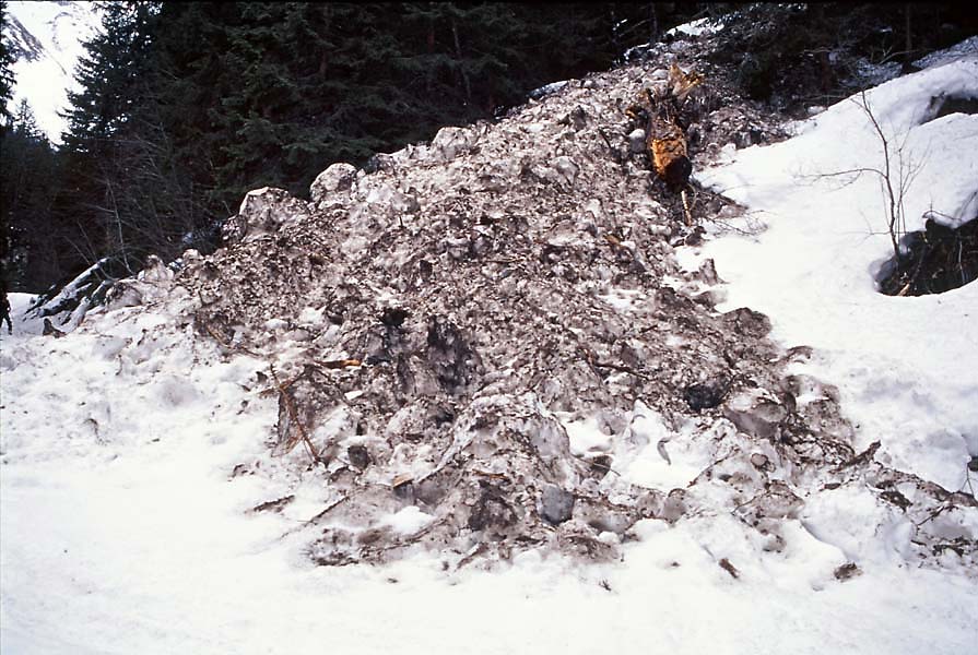 Image0037