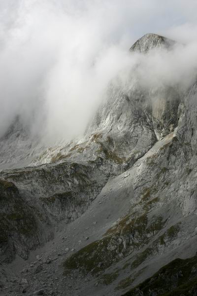 IMG_2677