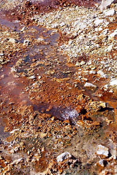 h61