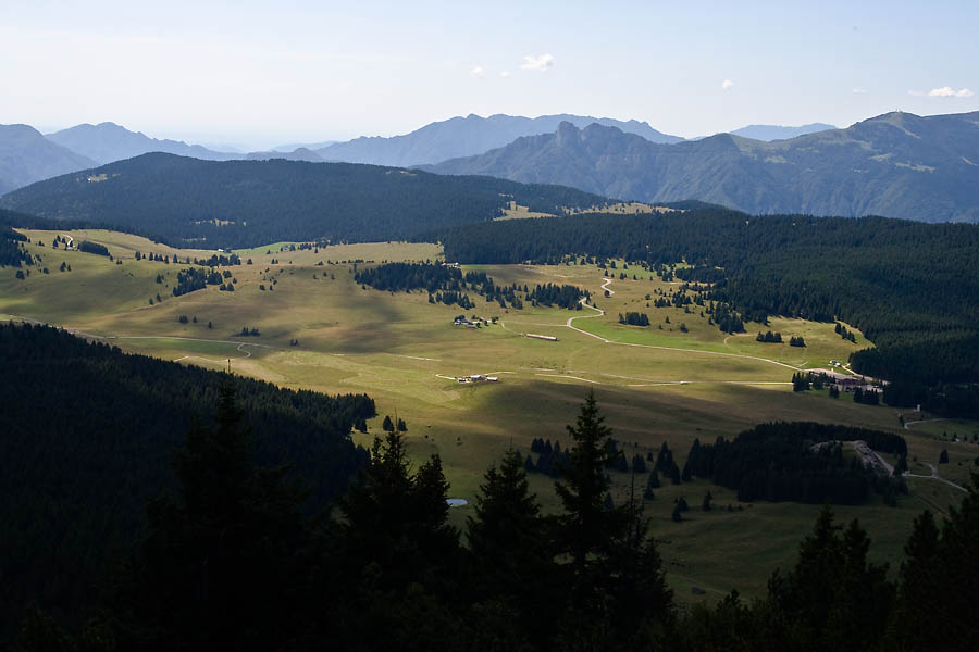 _MG_3797