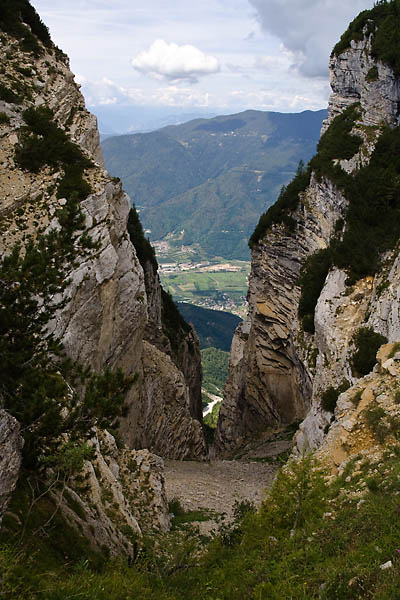 _MG_3863