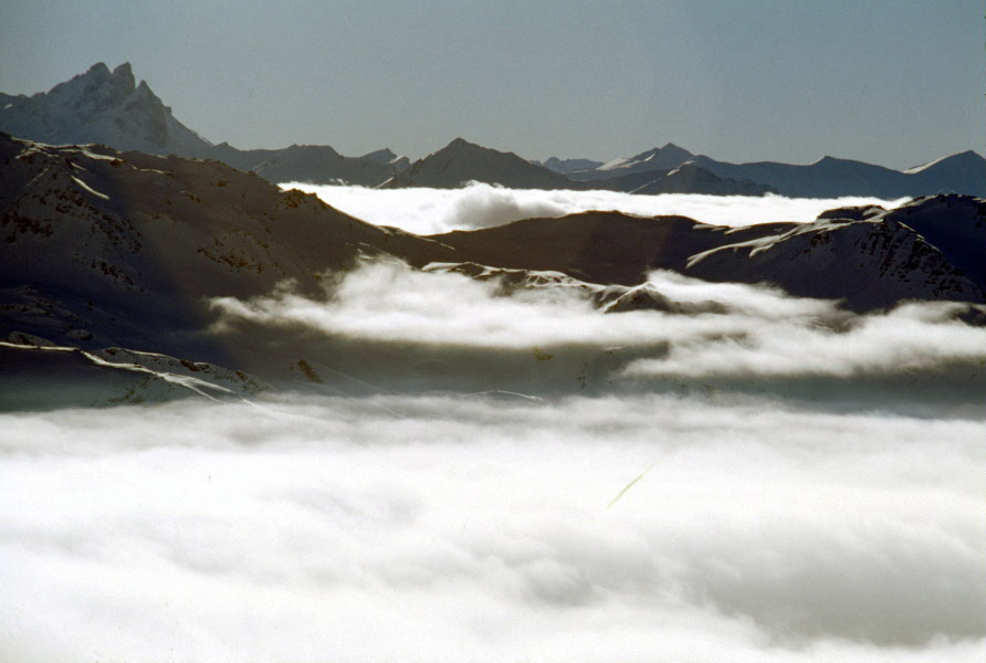 n01