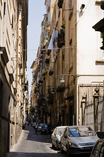 _MG_3344