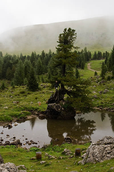 _MG_9190