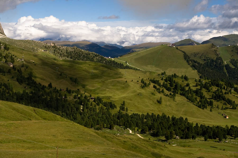 _MG_9202