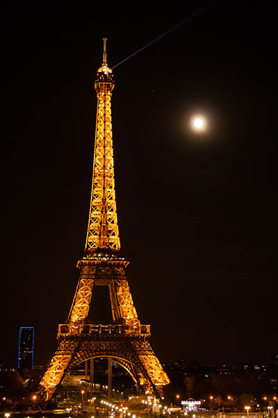 _MG_3612