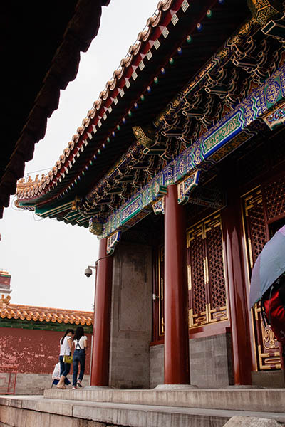 _MG_5245