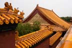 _MG_5251