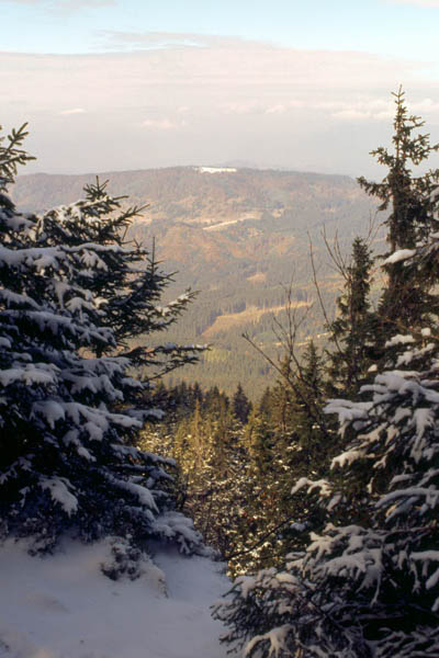 b06