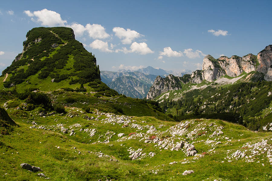 _MG_5641