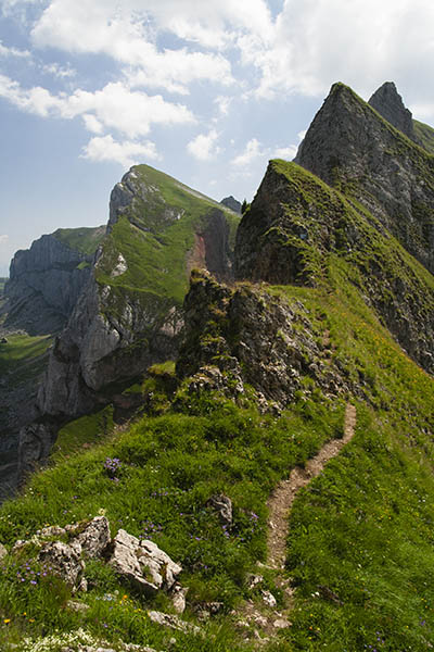 _MG_5652