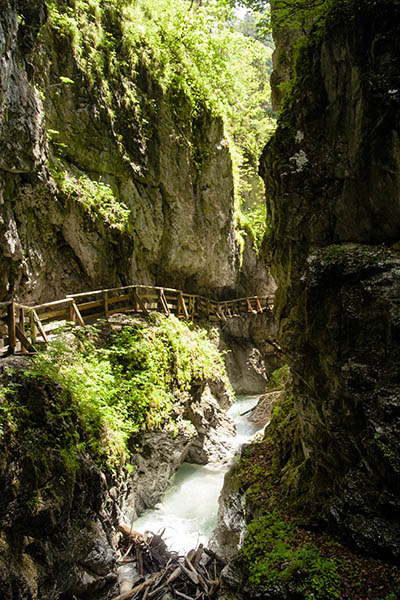_MG_5695