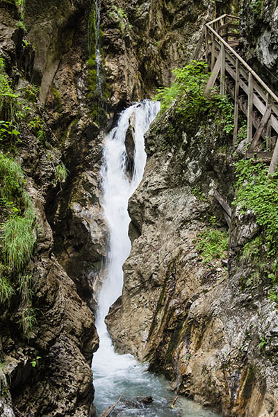 _MG_5696