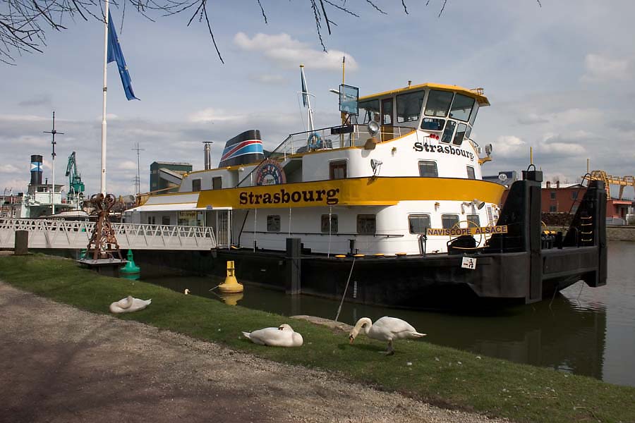 CRW_8726