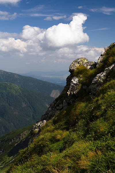 _MG_0968