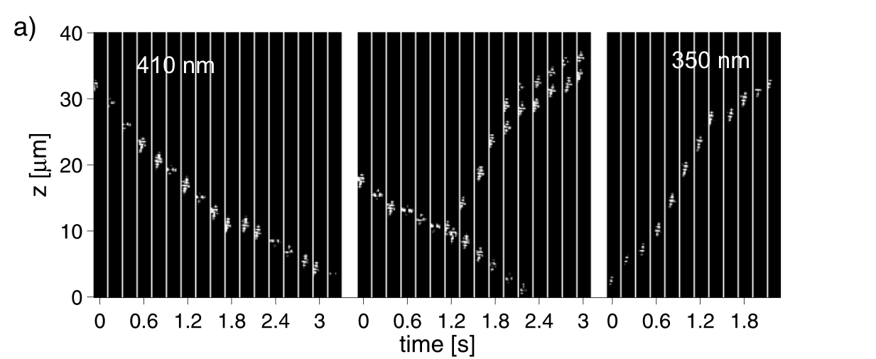 fig410350