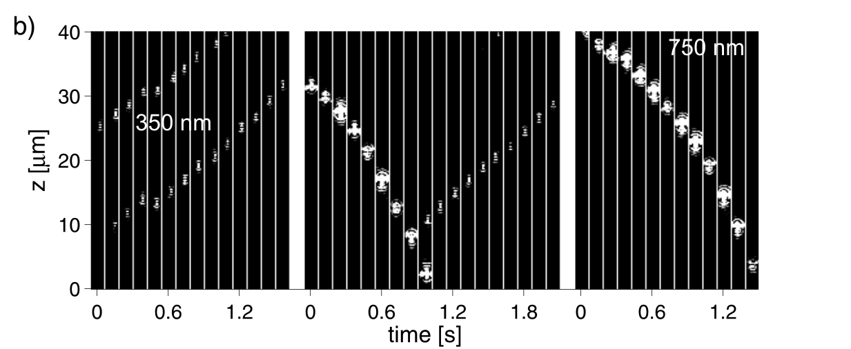 fig5350750