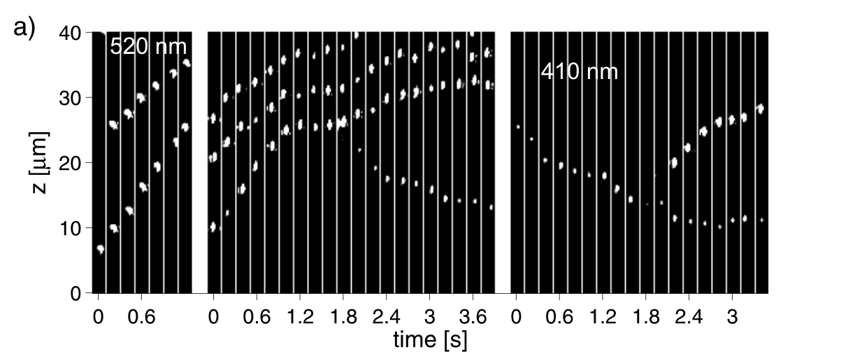 fig6520410