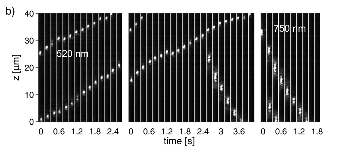 fig6520750