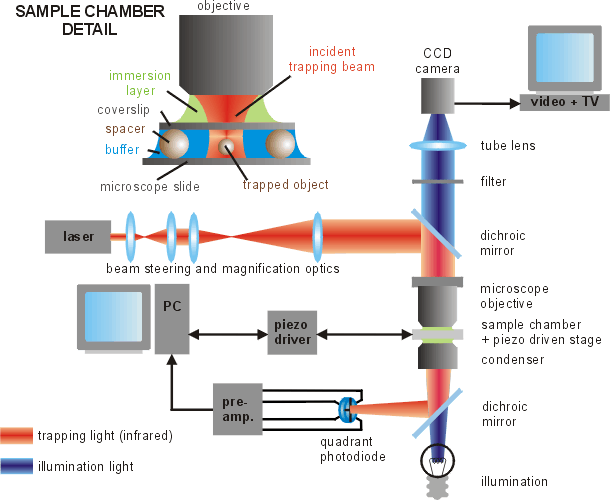 [Experimental setup]