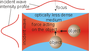 [Gradient force]