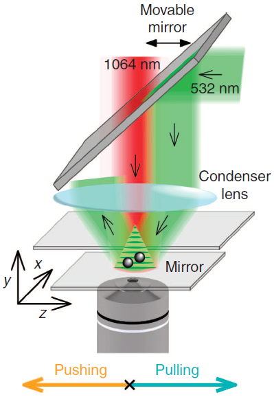 Light: Science and Applications