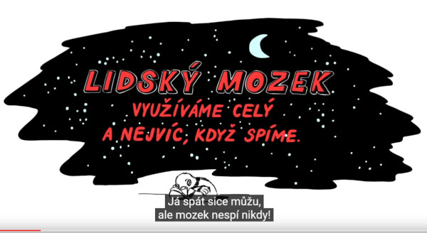 Mozek v noci