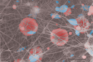 Detail nano-vlákenného biodegradabilního nosiče lidských buněk, určeného pro tkáňové inženýrství